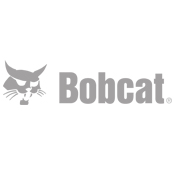 Bobcat