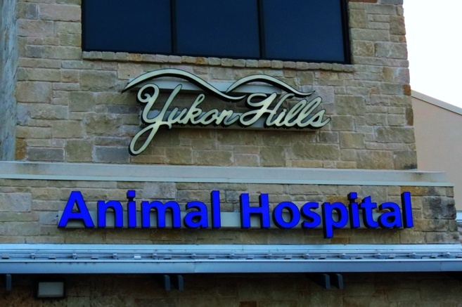 Closeup picture of exterior logo sign for animal hospital.