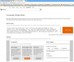 Screen shot of the Bing Knowledge Widget webpage.